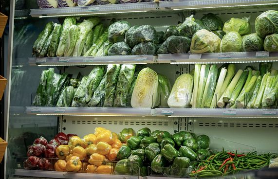 އަސާސީ ކާބޯތަކެތީގެ 23 ބާވަތް ވިއްކަން ފަށައިފި