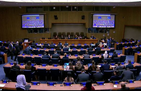 ރާއްޖެއަށް، ޖައްވާ ގުޅޭ އދ. ކޮމިޓީގެ މެންބަރުކަން