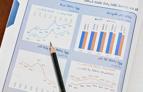 ސަރުކާރުގެ 12 ކުންފުނީގެ ގެއްލުން 222 މިލިއަނަށް