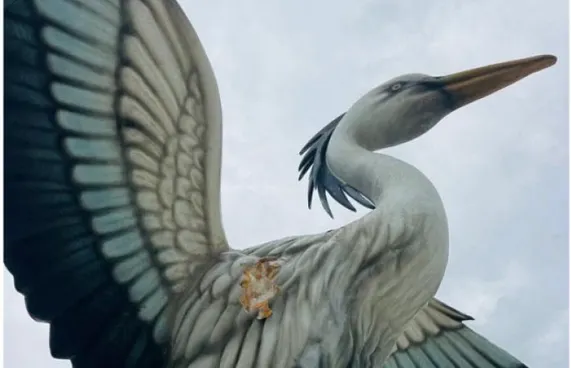 ދިރޭ ތަކެތީގެ ސޫރަ ބެހެއްޓުން ހަރާމް: ފަތުވާ