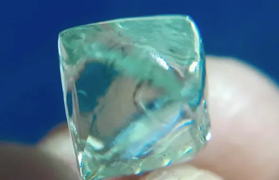 ދެއެކުވެރިންނަށް ފެނުނީ ބައި ލައްކަ ޑޮލަރުގެ ޖަވާހިރެއް