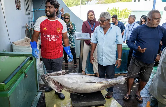 މިފްކޯއިން ކުދި ކަންނެލި ގަތުމަކީ ރަނގަޅު ފެށުމެއް: ޔޫނިއަން