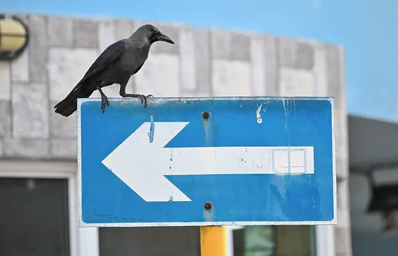 ހުޅުމާލޭގައި ކާޅުގެ ރަސްކަން، މަގުތަކުގައި ނަޖިސް