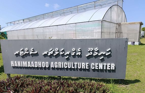 ހަނިމާދޫ އެގްރިކަލްޗާ ސެންޓަރު އަޕްގްރޭޑްކުރާނެ ބަޔަކު ހޯދަނީ