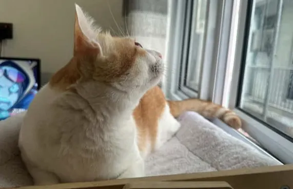 ބުޅަލެއް ދަންޖައްސާ މަރާމި ތުހުމަތުގައި 3 މީހަކާ ސުވާލުކޮފި