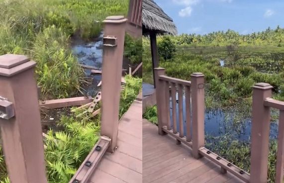 ފުވައްމުލަކު ބަންޑާރަ ކިޅިއަށް ތަކުރާރުކޮށް ގެއްލުން ދެނީ