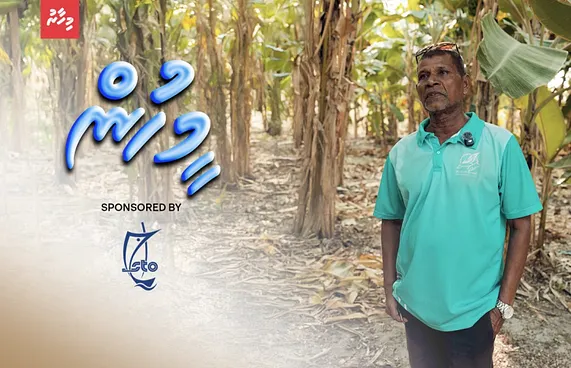 ޒަރީރުގެ ދަނޑުން ކަނޑަނީ ތެދުވެރިކަމުގެ ފޮނި މޭވާ