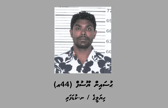 ޓިކްޓޮކްގައި ދީނަށް ފުރައްސާރަކުރާ މީހަކު ހޯދަނީ