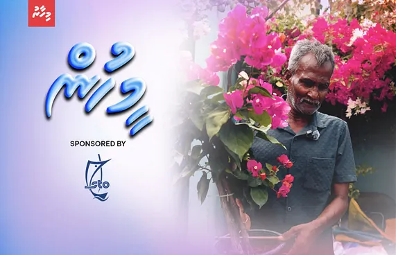 މަލާމާތުން މޯޅިނުވެ ހެއްދި ގަސްތައް ފުޅާވިޔަފާރިއަކަށް