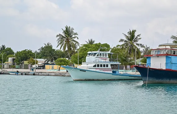 މަސްވެރިކަން ވެސް އޮޔާ ގޮސް އިގުތިސާދީ ކުރިމަގު ބަނަ!