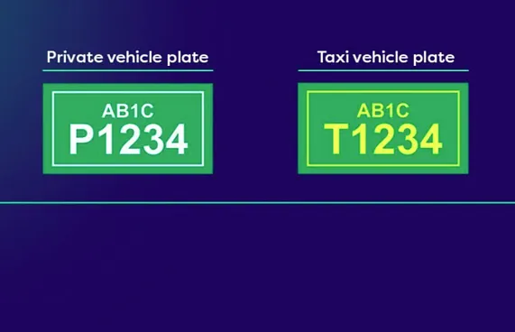 އިލެކްޓްރިކް ވެހިކަލްތަކަށް ފެހި ކުލައިގެ ނަންބަރު ބޯޑެއް