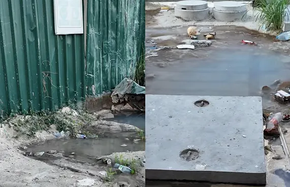 ނެޕީ އާއި ކުނިން ފަހި ފްލެޓްތަކުގެ ޖަންކްޝަން ބެދި ލީކުވަނީ