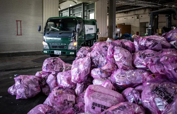 ބޮޑެތި މީހުންގެ ނެޕީން ޖަޕާނު ގޮނޑުވާތީ ރިސައިކަލްކުރަނީ