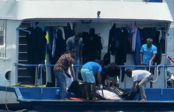 ދޯންޏެއްގެ ބުރަފަތީގައި ޖެހި، ޓޫރިސްޓެއް މަރުވެއްޖެ