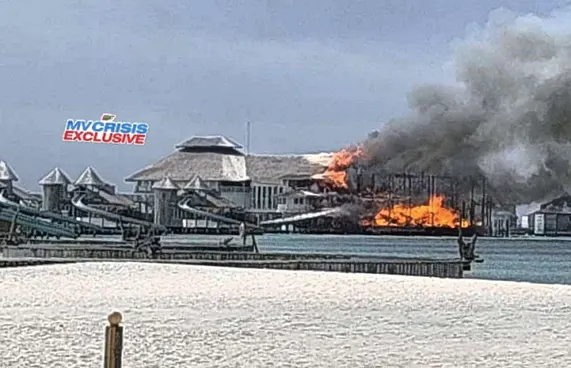 ސޮނެވާ ޖާނީގައި އަލިފާނުގެ ހާދިސާއެއް