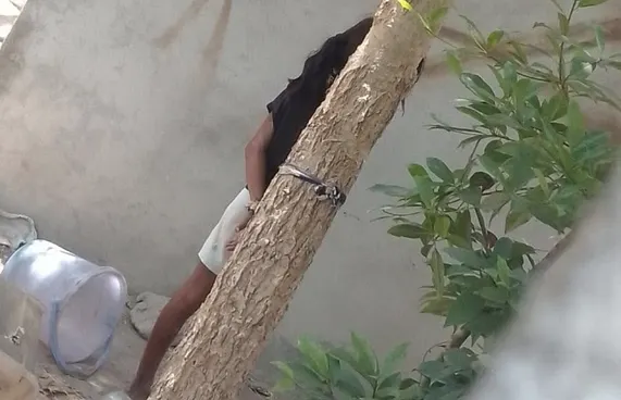 ކުޑަ ކުއްޖެއް ގަހެއްގައި އައްސާފައިހުރި މައްސަލައެއް ބަލަނީ