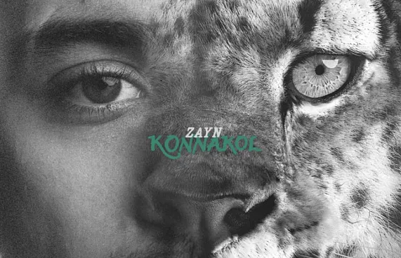 ޒޭން މާލިކްގެ އާ މިއުޒިކް އަލްބަމް ނެރެފި