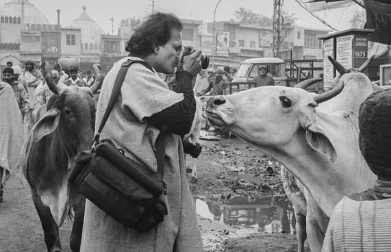 އިންޑިއާގެ މާސްޓަ ފޮޓޯގްރާފަރު ރަގޫ ރާއީ މަރުވެއްޖެ