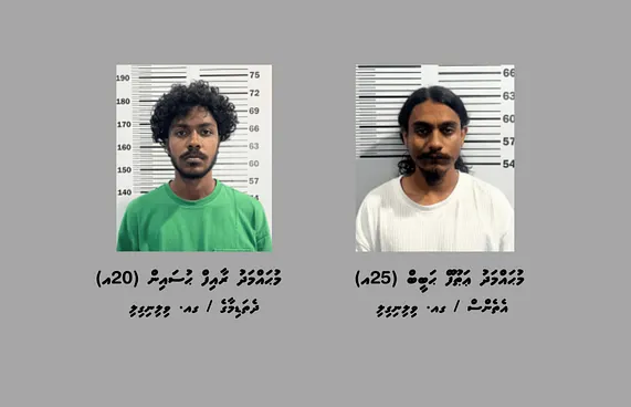 ކުޑަކުދިން ލައްވައި މަސްތުވާތަކެތި ވިއްކާ ދެމީހަކު ހައްޔަރު