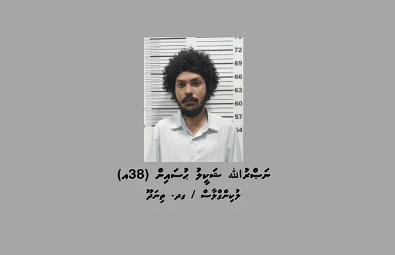 ކަރަންޓު ފޮށިތަކުން ލޮއިނަރު ވަގަށްނެގި މީހަކު ހައްޔަރު