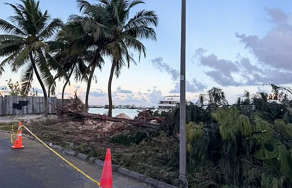 ފިތުރޯނުގަސްތައް ނަގަނީ މޫލައި ދަތިތައް ދިމާވާތީ: އެޗްޑީސީ