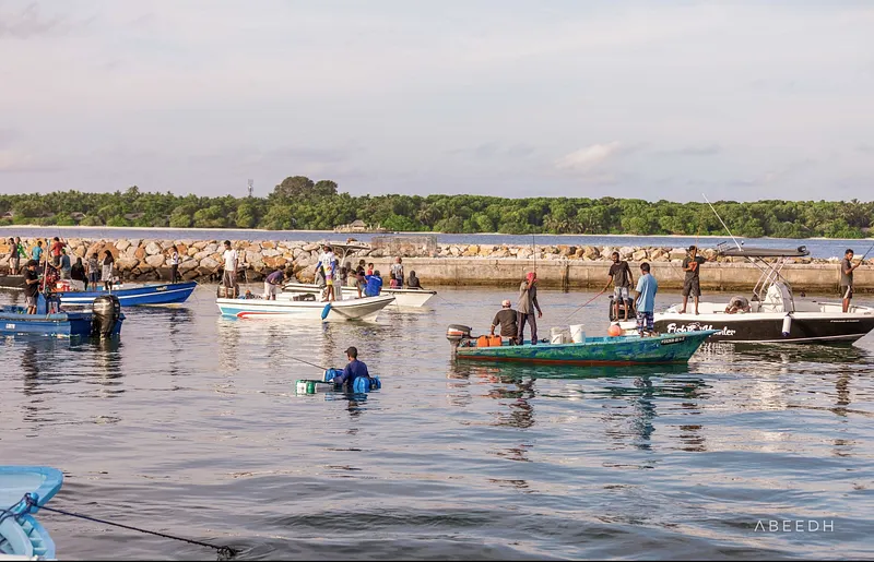އޭދަފުއްޓަށް ބަދަލުކުރި ހިޔާ ބައެއް ކުދިންނާ މެދު ހިތްހަމަނުޖެހުންތަކެއް