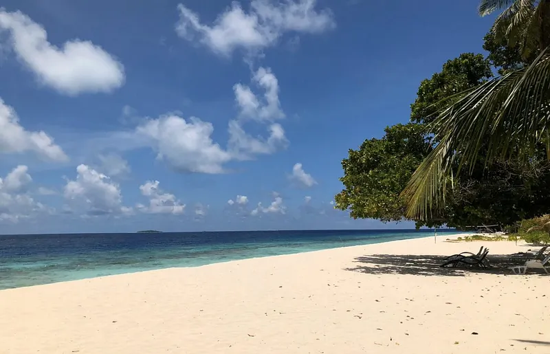 ރަންވޭ ބޮޑުކުރަން ދަރަވަންދޫ ބިން ހިއްކާކަށް ނޫޅެން: އަމީން