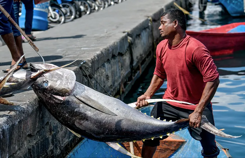 ކަނޑުމަހުން ނަގާ ޑިއުޓީ މެދުކަނޑާލަން ޔޫކޭ އިން ނިންމައިފި