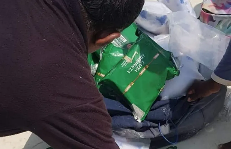 މަލިކު ބޭރުން ބޯޓުތަކެއް އަތުލި، 260 ކިލޯގެ ޑްރަގްސް ކަނޑަށް އުކާލި