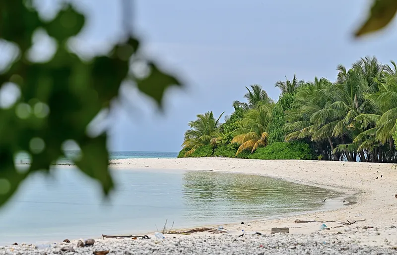 ވަންދޫގައި ސިހުރު ހަދާކަމުގެ ތުހުމަތަށް މީހަކު ހައްޔަރު