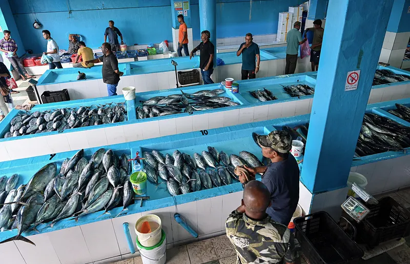 މަސްމާރުކޭޓު އަޅާބިން ހަވާލުނުކުރަން ކައުންސިލުން ނިންމައިފި