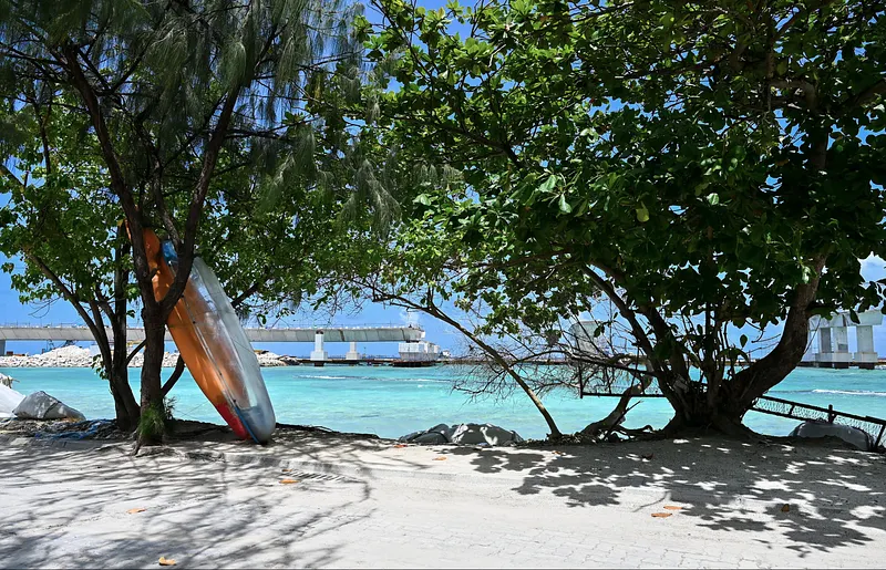 ވިލިމާލޭގައި ފީނަން ގޮސް އުޅުނު މީހަކު މަރުވެއްޖެ