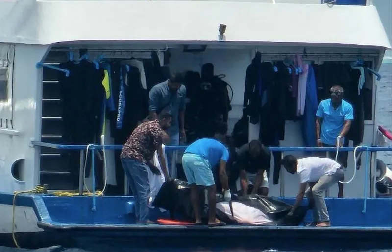 ދޯންޏެއްގެ ބުރަފަތީގައި ޖެހި، ޓޫރިސްޓަކު މަރުވެއްޖެ