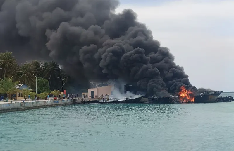 ފީއަލީ އަލިފާން: ފިހުނު މީހާ އޮތީ ވެންޓިލޭޓަރުގައި