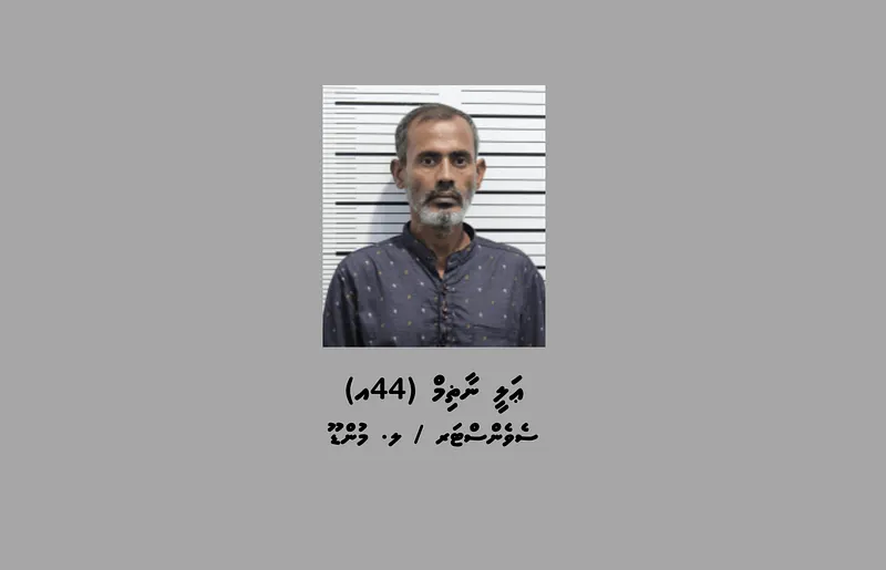 ތިން ލައްކައަށް ވުރެ ގިނަ ރުފިޔާ ހުރި ފޮއްޓެއް ވަގަށް ނެގި މީހަކު ހައްޔަރުކޮށްފި