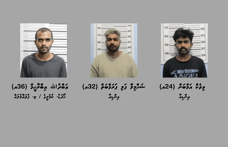ތިން ކިލޯ ޑްރަގާ ހަވާލުވާން ދިޔަ މީހާ ވެސް ހައްޔަރުކޮށްފި