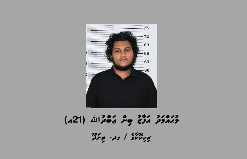 ތިނަދޫގައި ބަނގުރާ އުފައްދައި ވިޔަފާރިކުރާ އިސް މީހަކު ހައްޔަރުކޮށްފި