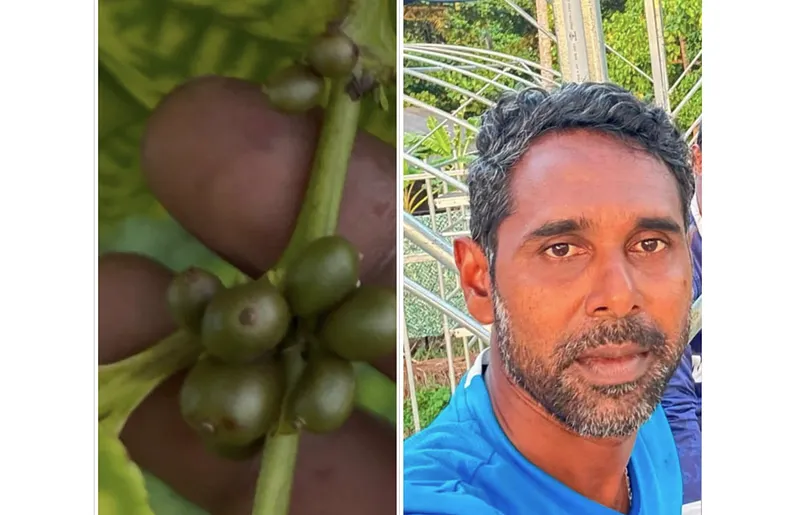 ރާއްޖޭގެ ފުރަތަމަ ކޮފީގަހާއެކު ރަމްޒީއަށް ބޮޑު ޝަރަފެއް