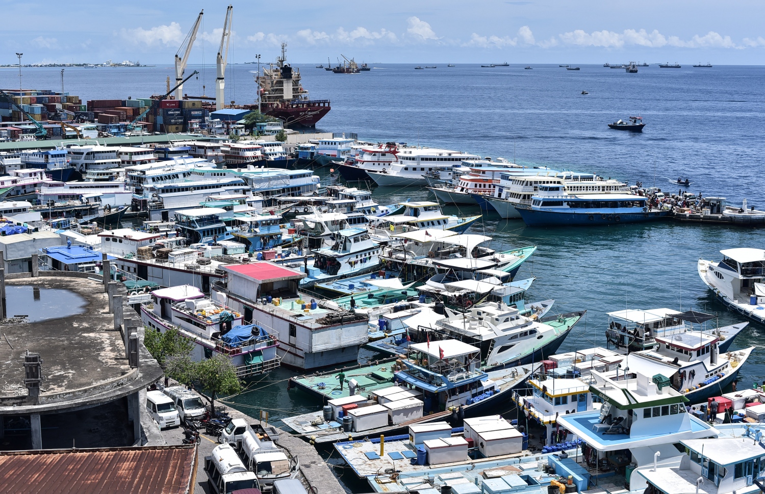 މާލޭގެ ފަޅުތެރެ މަސްދޯނިފަހަރުން ތޮއްޖެހިފައި: މަހަށް ރަނގަޅު އަގެއް ލިބެން ޖެހޭ -- ފޮޓޯ: މިހާރު