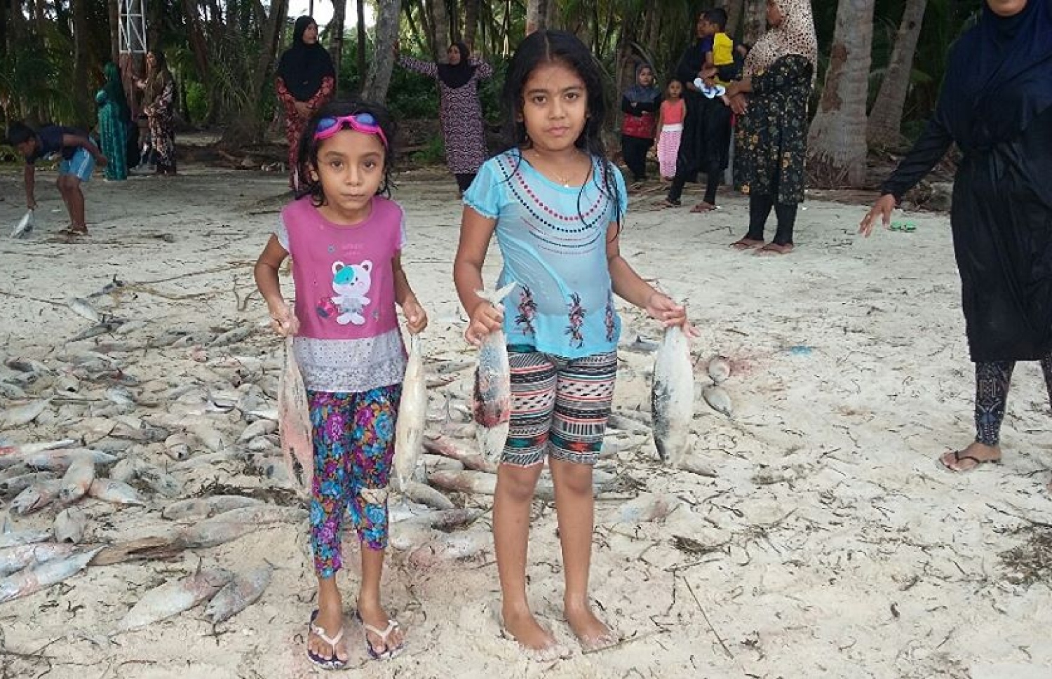 ބުރުނީގައި ދިރިއުޅޭ ދެ ކުއްޖަކު ފަޅުތެރެއަށް ތިލަވި ރާގޮނޑިތަކެއް ހިފައިގެން. ކުދިބޮޑު ހުރިހާ ރައްޔިތުން ދަނީ މަސް ހިފުމުގައި ބައިވެރިވަމުން. - ފޮޓޯ: ބުރުނީ ފޭސްބުކް ޕޭޖް