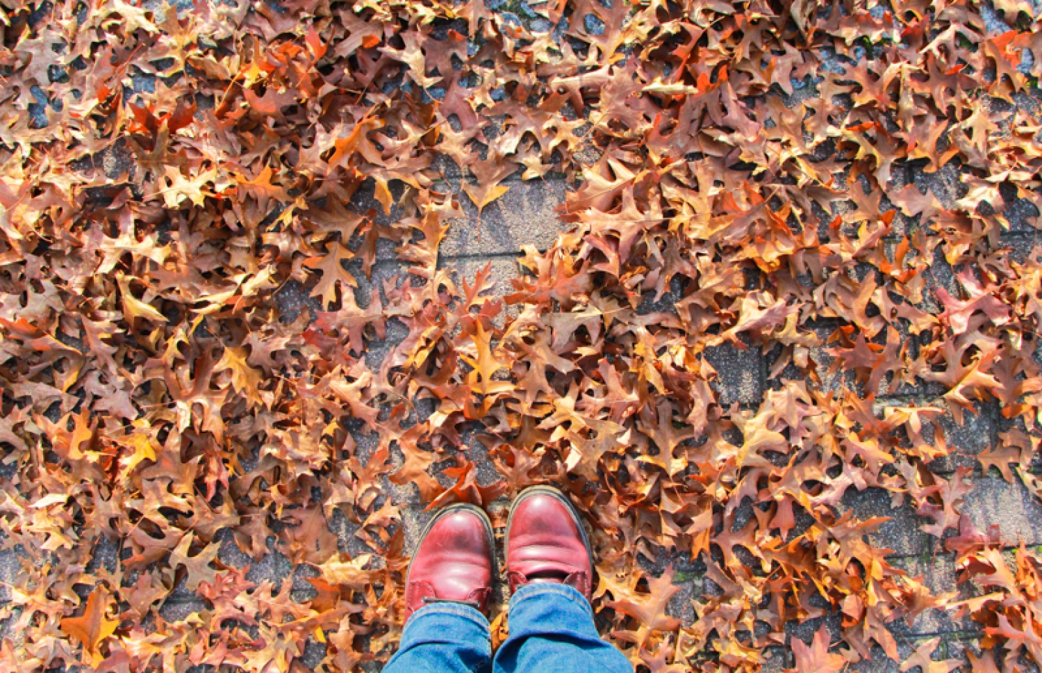 ފައިގެ ފޮޓޯއިން ދައްކުވައިދީފައި ހުންނަނީ އެ މީހަކު ހުންނަ ތަން