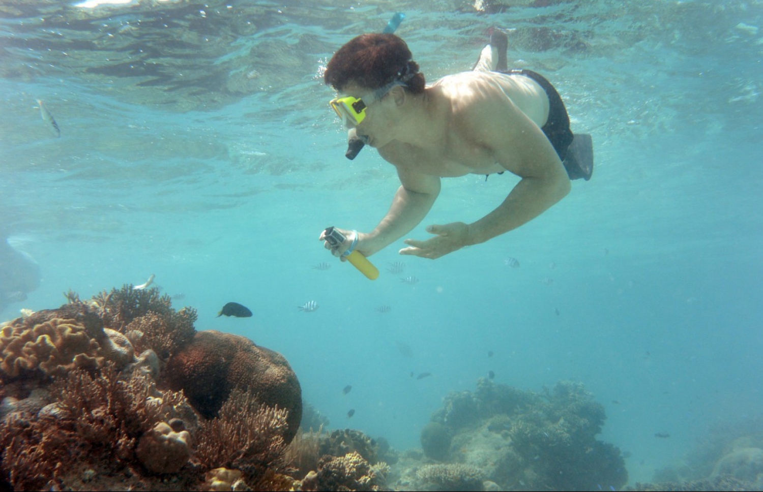 އޮސްޓްރޭލިއާގެ ގްރޭޓް ބެރިއާ ރީފަށް ޓޫރިސްޓަކު ފީނަނީ. --ފޮޓޯ:އޭއެފްޕީ