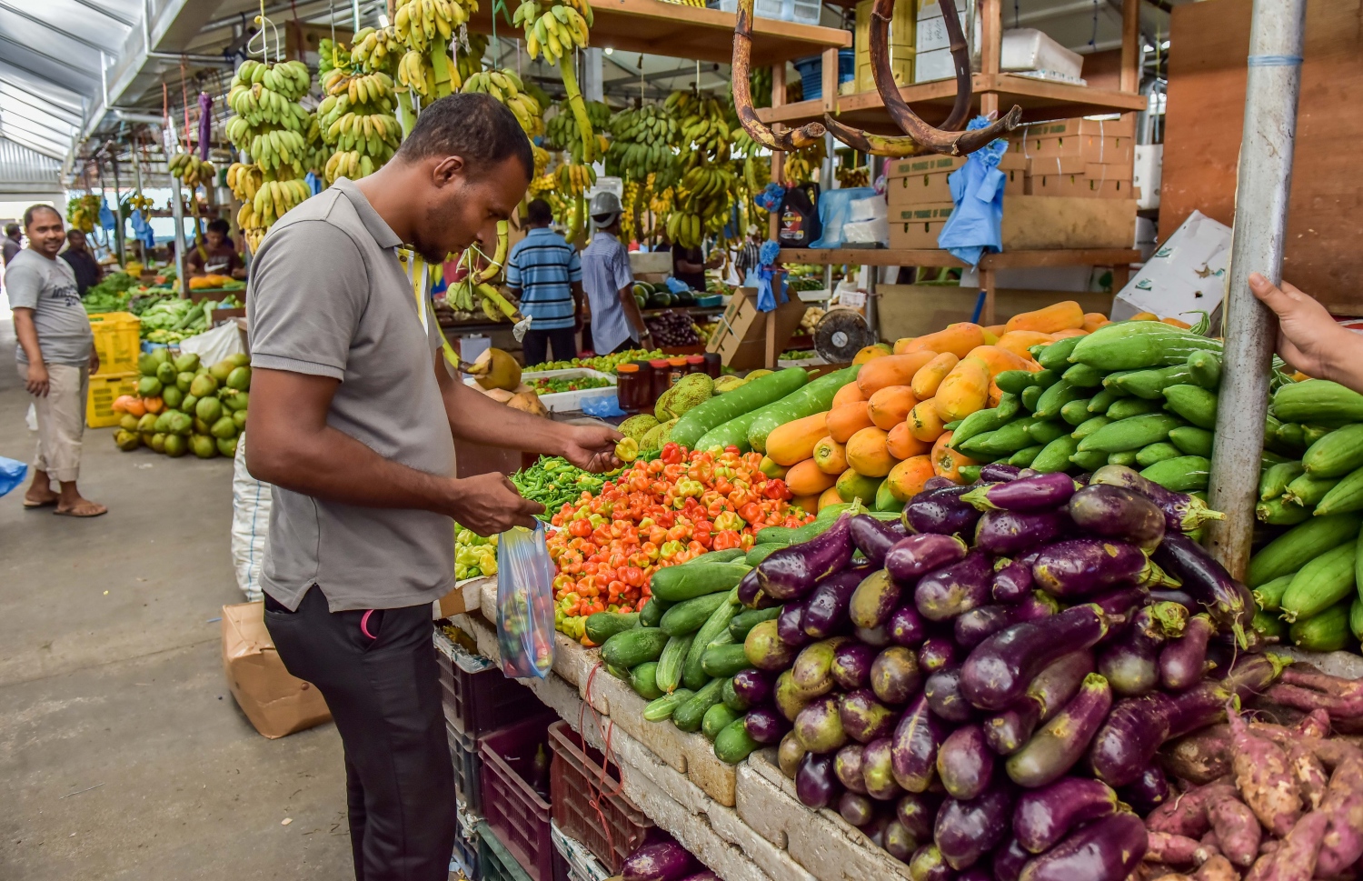 މާލޭ ލޯކަލް މާރުކޭޓުން މީހަކު މިރުސް ގަންނަނީ: ދަނޑުވެރިން ބޭނުންކުރާ ކެމިކަލްގެ އަސަރު ތަރުކާރީގެ ބާވަތްތަކުގައި ވެސް މަތީ މިންވަރަކަށް ހުރޭ -- ފޮޓޯ:ނިޝާން އަލީ/މިހާރު