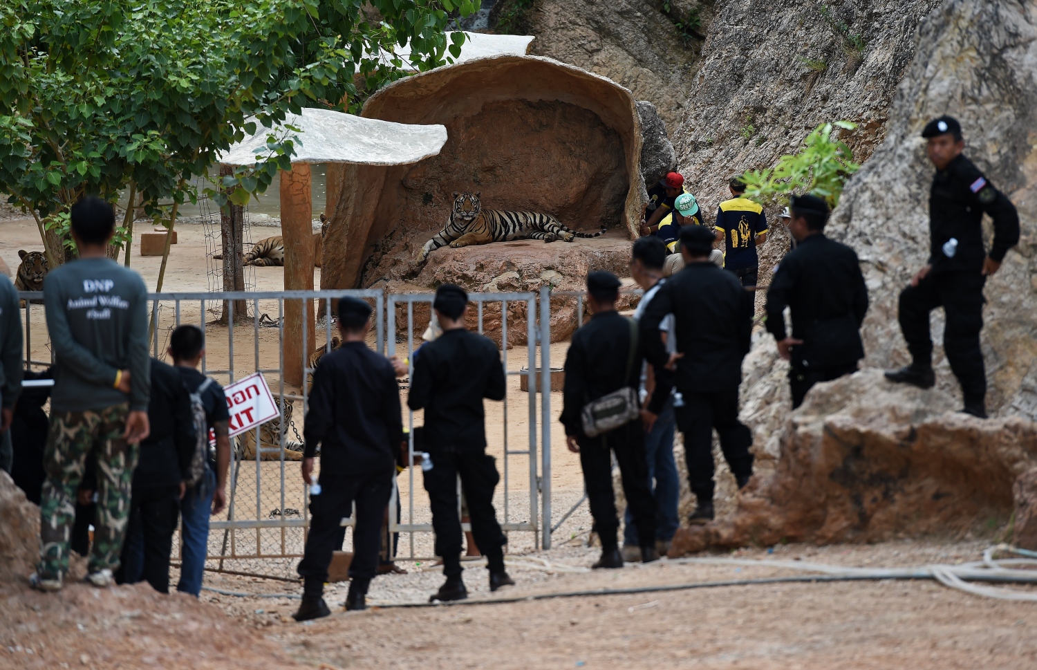 މިނިކާ ވަގު ކޮށިން ނެރުމުގެ ކުރިން ވައިލްޑްލައިފް އޮފިޝަލުންނާއި ސަލާމަތީ އޮފިޝަލުން ކޮށީގެ ބޭރުގައި. --ފޮޓޯ:އޭއެފްޕީ