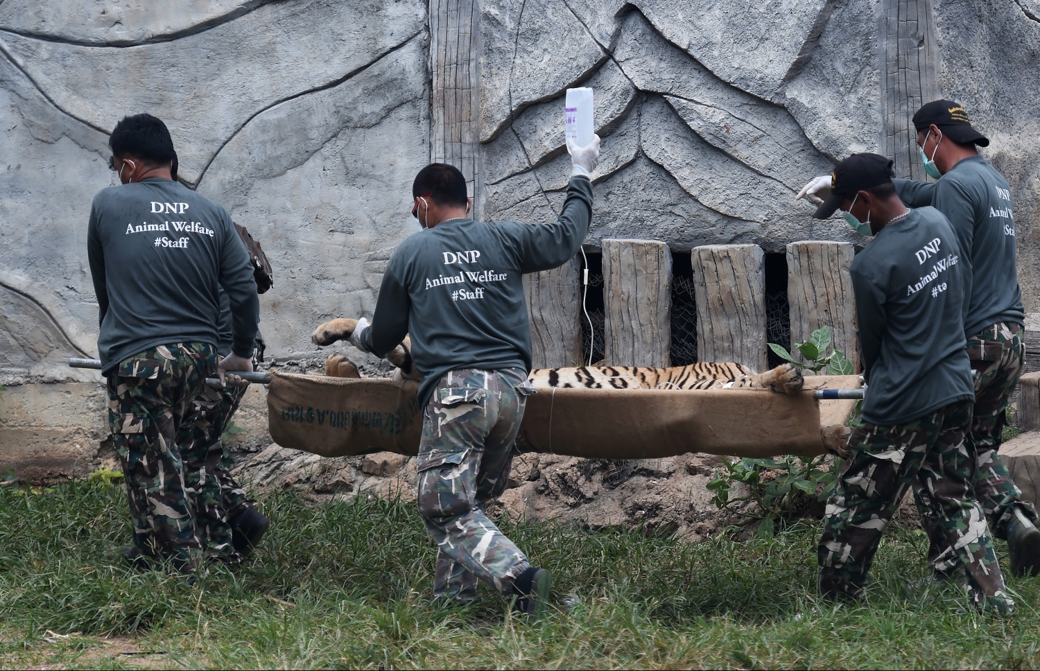 ތައިލެންޑުގެ ވައިލްޑްލައިފް އޮފިޝަލުން މިނިކާ ވަގެއް ހިފައިގެން ދަނީ. --ފޮޓޯ:އޭއެފްޕީ