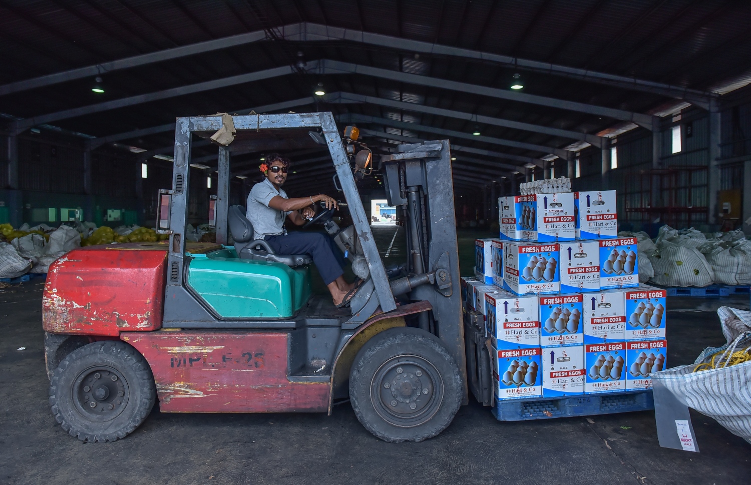 އެމްޕީއެލް ސަރަހައްދު: ޖޫން 2، 2016: މާލޭ ވިޔަފާރި ބަނދަރު ސަރަހައްދުގައި އޮތް ފޯކްލިފްޓެއް މުދާ ބަރުކޮށްފައި: އެ ކުންފުނިން ބުނީ މުދާ ބާލަން ބޭނުންވާ ވެހިކަލް މަދުވުމުން ދަތިތަކެއް ދިމާވާ ކަމަށް. --ފޮޓޯ: އަލީ ނިޝާން /މިހާރު