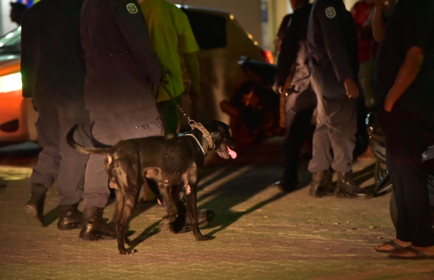 މާލޭގައި މާރާމަރީ ގިނަވެ، ދެ ކުއްޖަކު މަރާލުމާ ގުޅިގެން ފުލުހުން ފެށި އޮޕަރޭޝަނުގައި ކުއްތާ ބޭނުންކޮށްގެން ބަލައި ފާސްކުރަނީ -- ފޮޓޯ: ހުސެއިން ޝަޔާހު/ މިހާރު