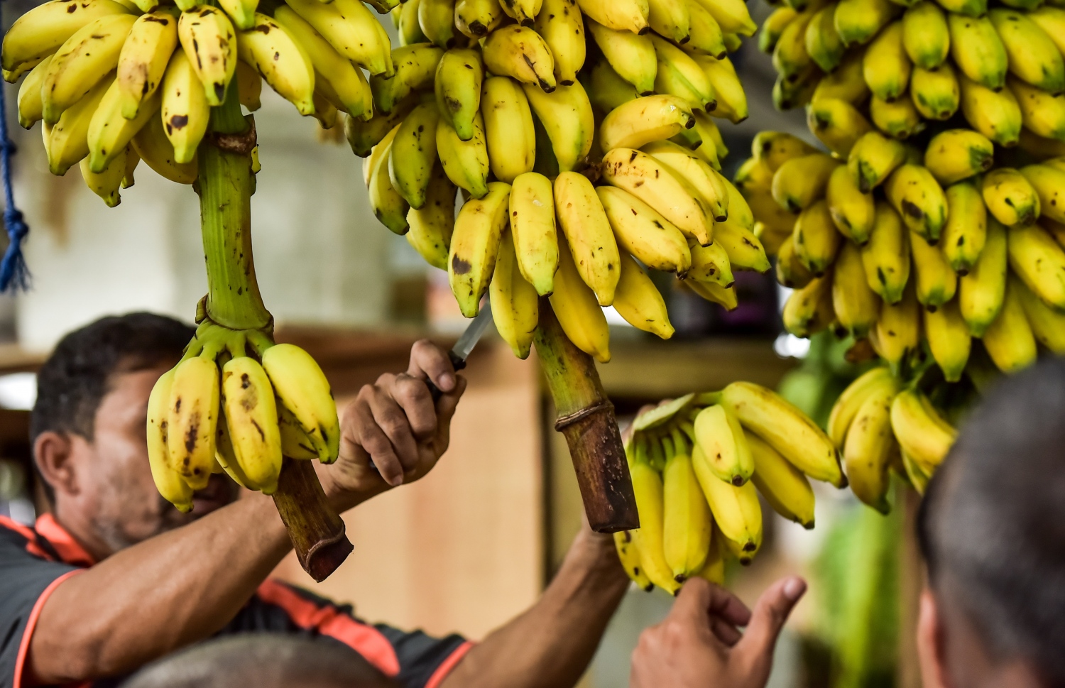 ރާއްޖޭގެ ބާޒާރެއްގައި ވިއްކަން ހުރި ދޮންކެޔޮތަކެއް.