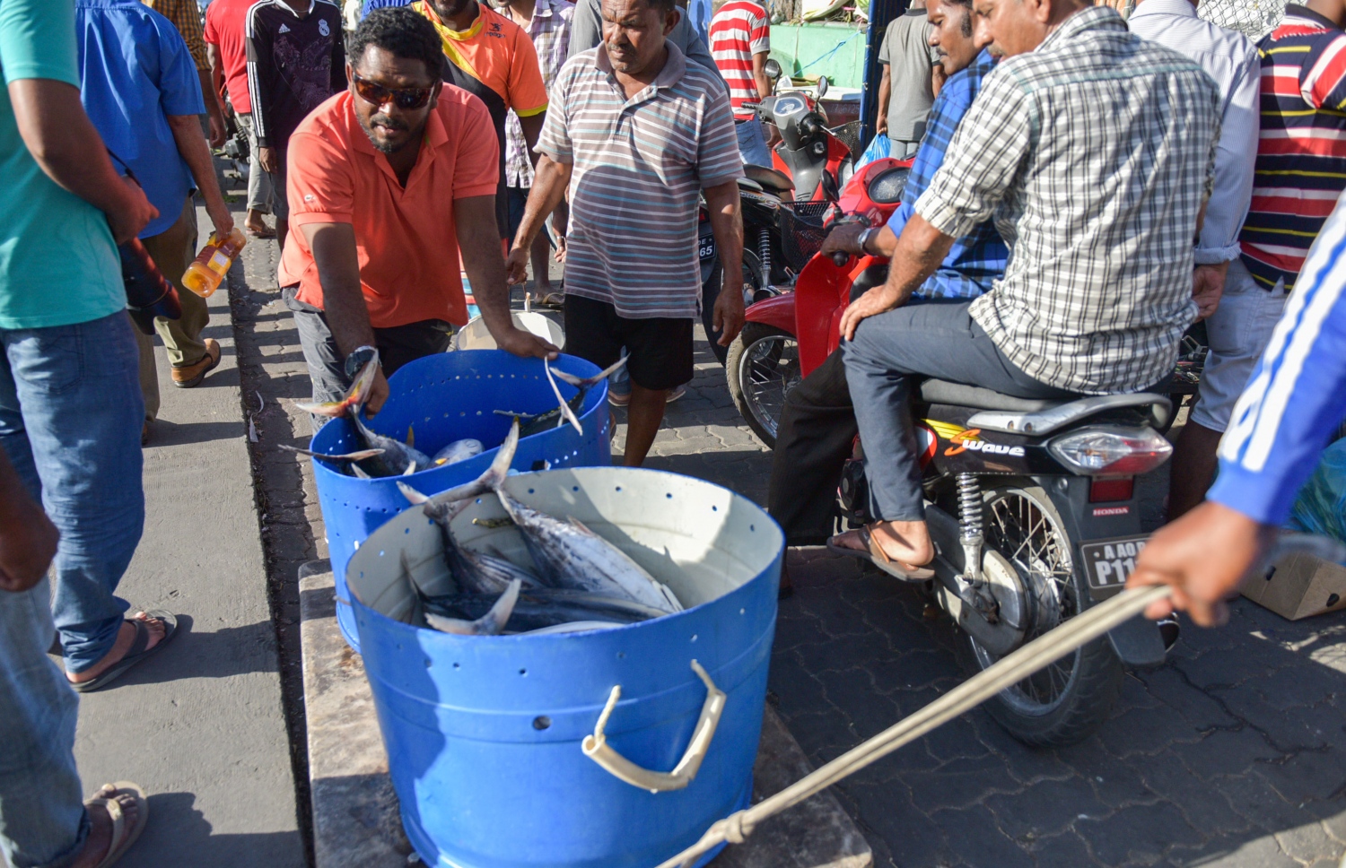 މާލެ:6 ޖޫން 2016، ލޯކަލް މާރުކޭޓު ސަރަހައްދުގައި މީހަކު މަސް ޓައްޕުތަކެއް ހިފައިގެން ދަނީ. މިރޯދަމަހާ ދިމާކޮށް،ވަކި ގަޑިތަކެއްގައި ބައެއް މަގުތަކަށް ދުއްވާ އެއްޗެހި ވެއްދުން ފުލުހުން ވަނީ މަނާކޮށްފައި--. ފޮޓޯ:ނިޝާން އަލީ/ މިހާރު