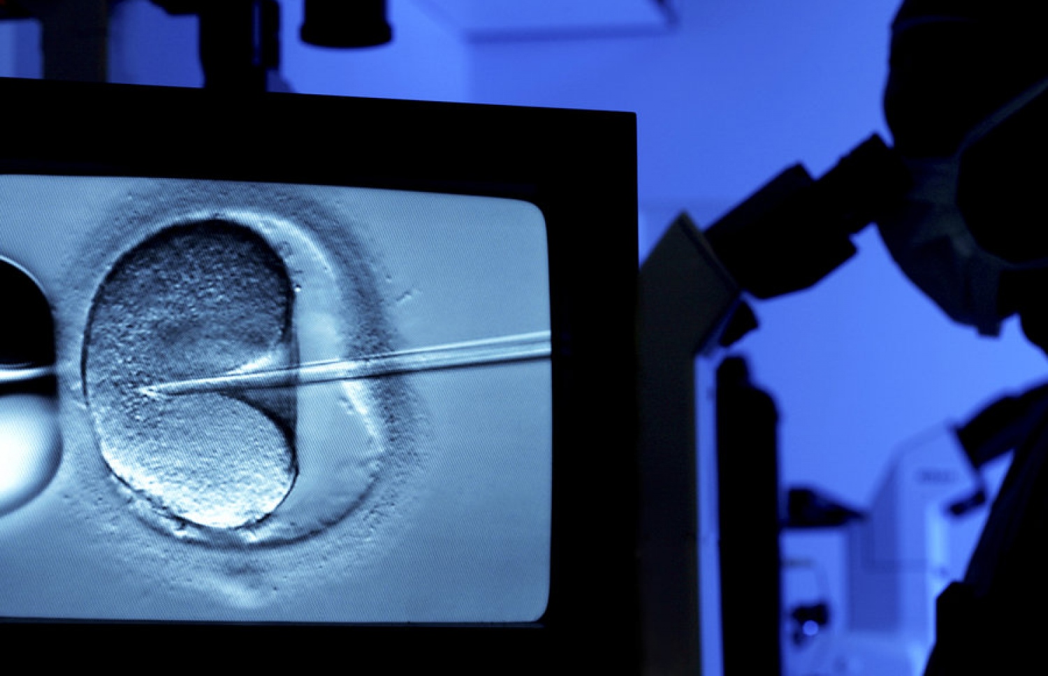 އައިވީއެފް ހެދުމުގެ މަސައްކަތުގައި ލެބޯޓަރީއެއްގައި ޓެކްނީޝަނަކު ހަރަކާތްތެރިވަނީ